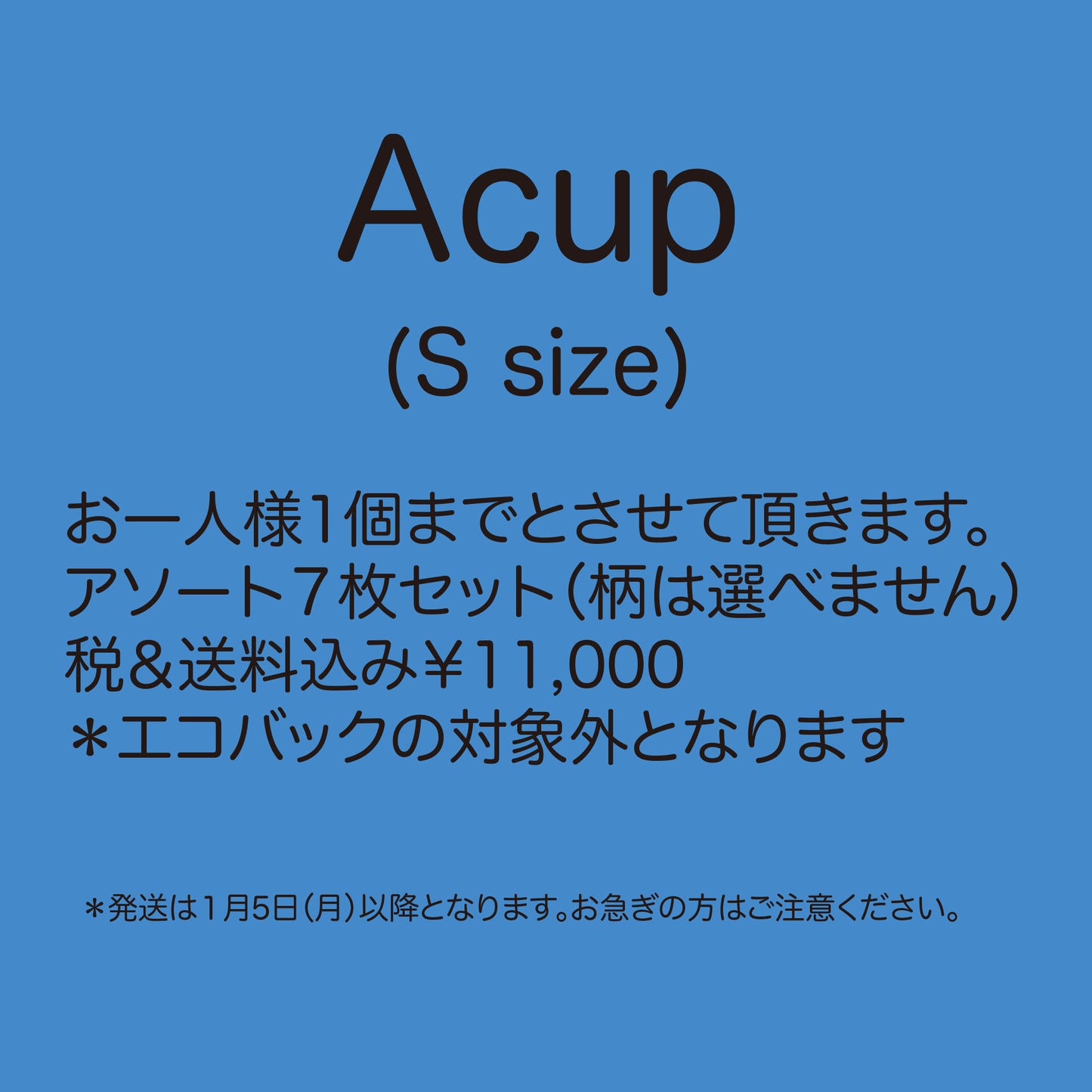 福袋2026 サイズA