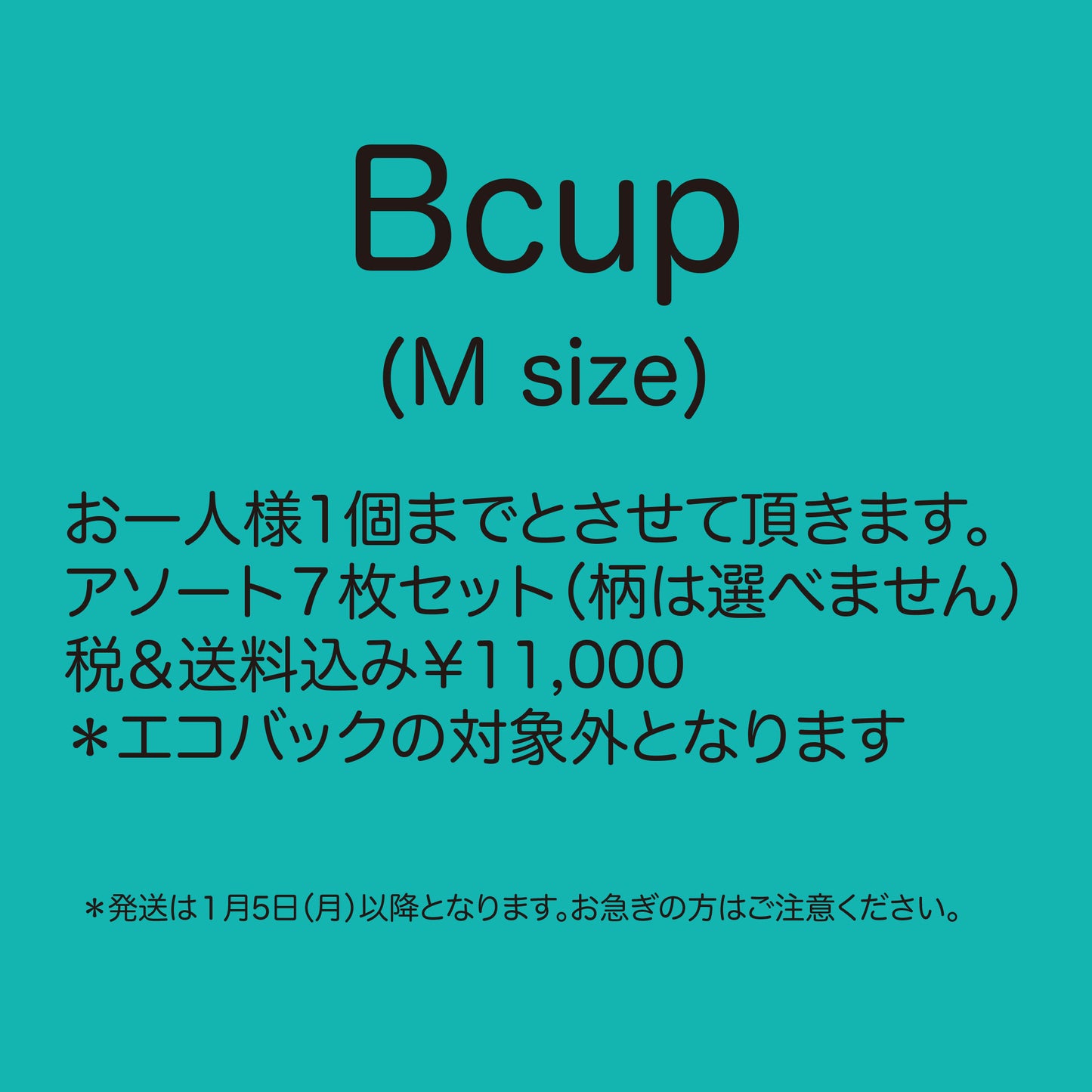 福袋2026 サイズB