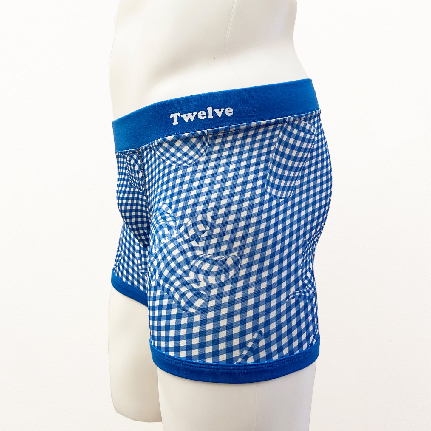 2D Gingham Check (24-12)