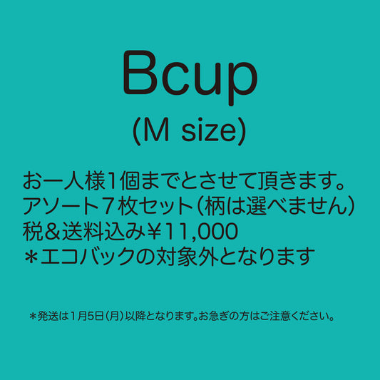福袋2026　サイズB