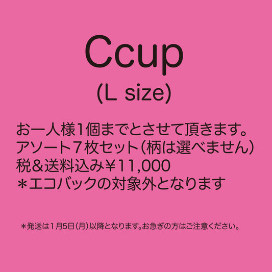 福袋2026　サイズC