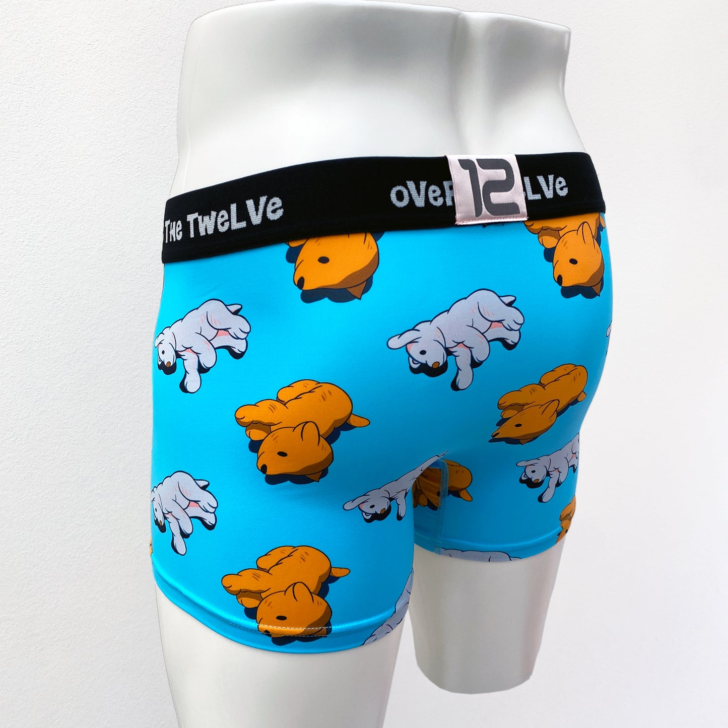 21-07b DOG TAKERU AMANO Collaboration Sublimation transfer print BOXER