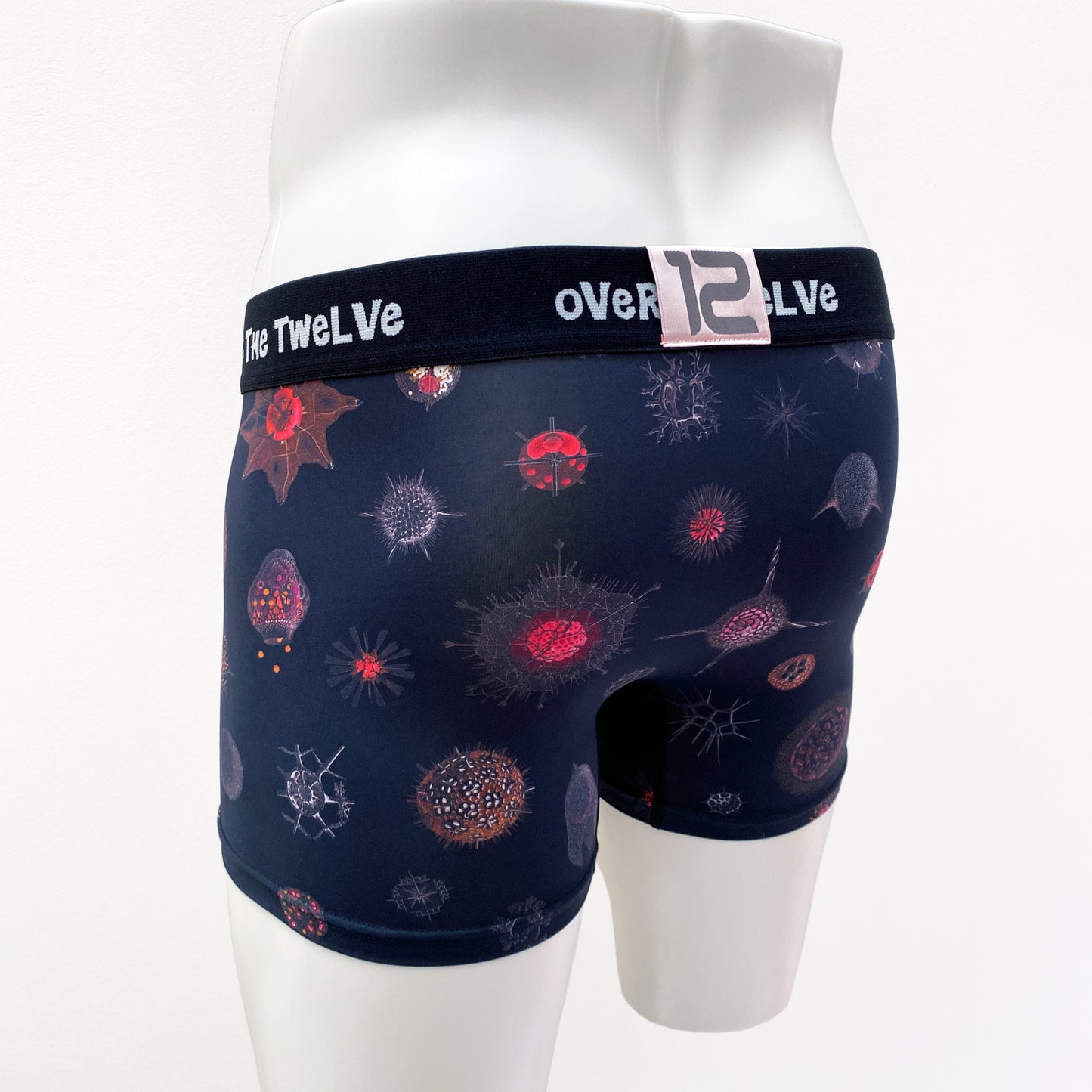 21-11  MICROPALEONTOLOGY COSMO Sublimation transfer print BOXER