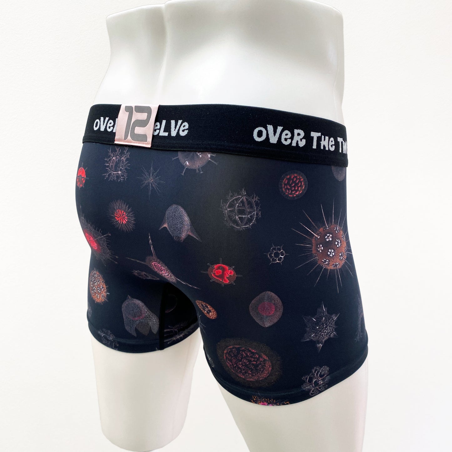 21-11  MICROPALEONTOLOGY COSMO Sublimation transfer print BOXER