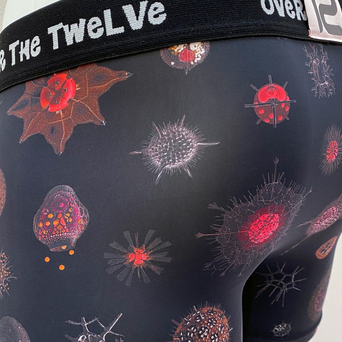 21-11  MICROPALEONTOLOGY COSMO Sublimation transfer print BOXER