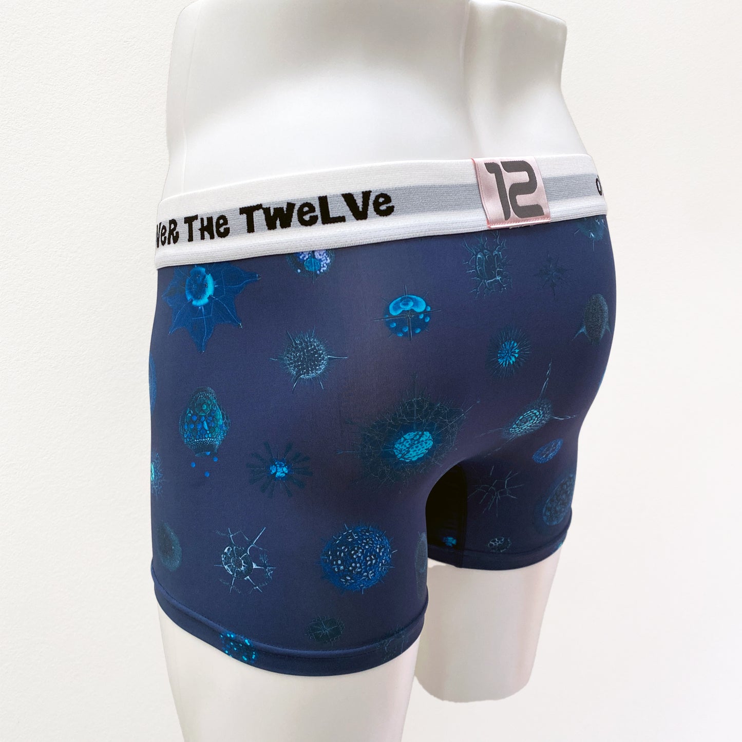 21-11  MICROPALEONTOLOGY COSMO Sublimation transfer print BOXER