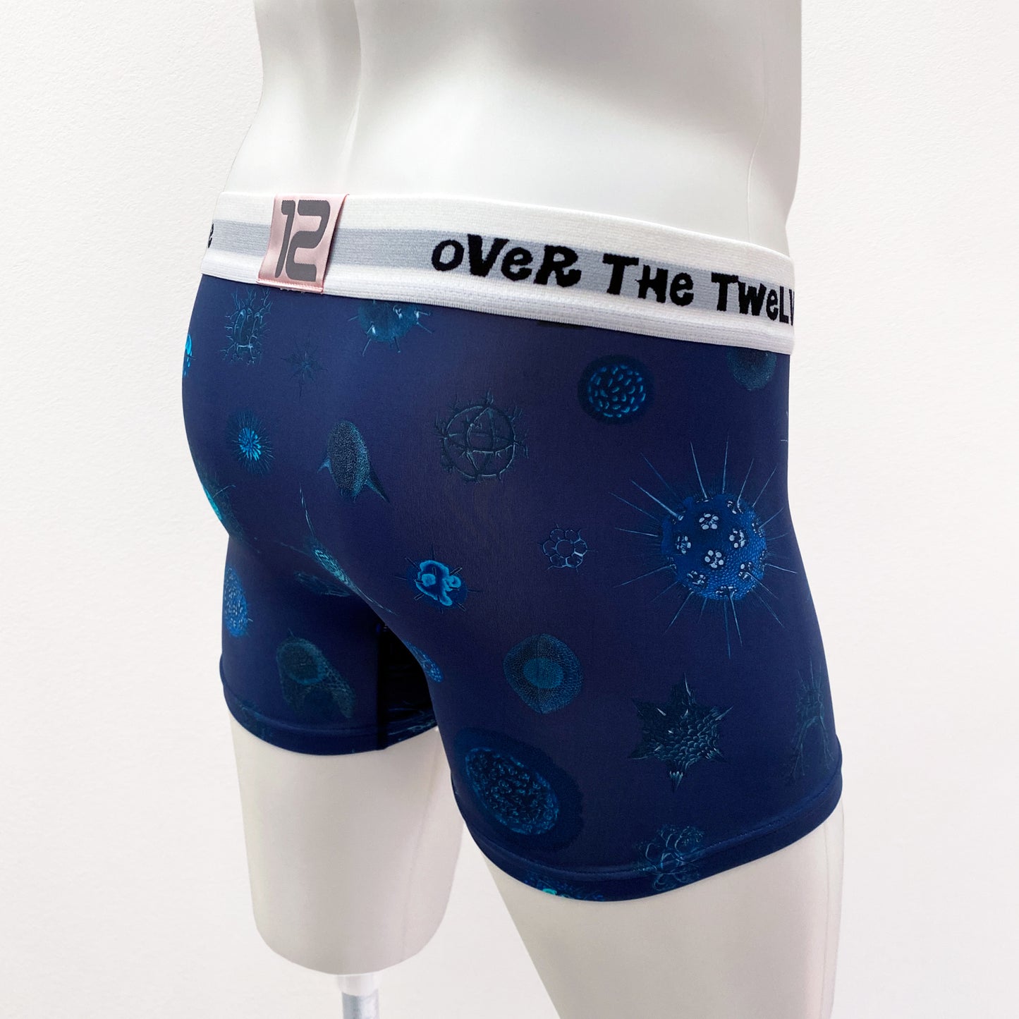 21-11  MICROPALEONTOLOGY COSMO Sublimation transfer print BOXER