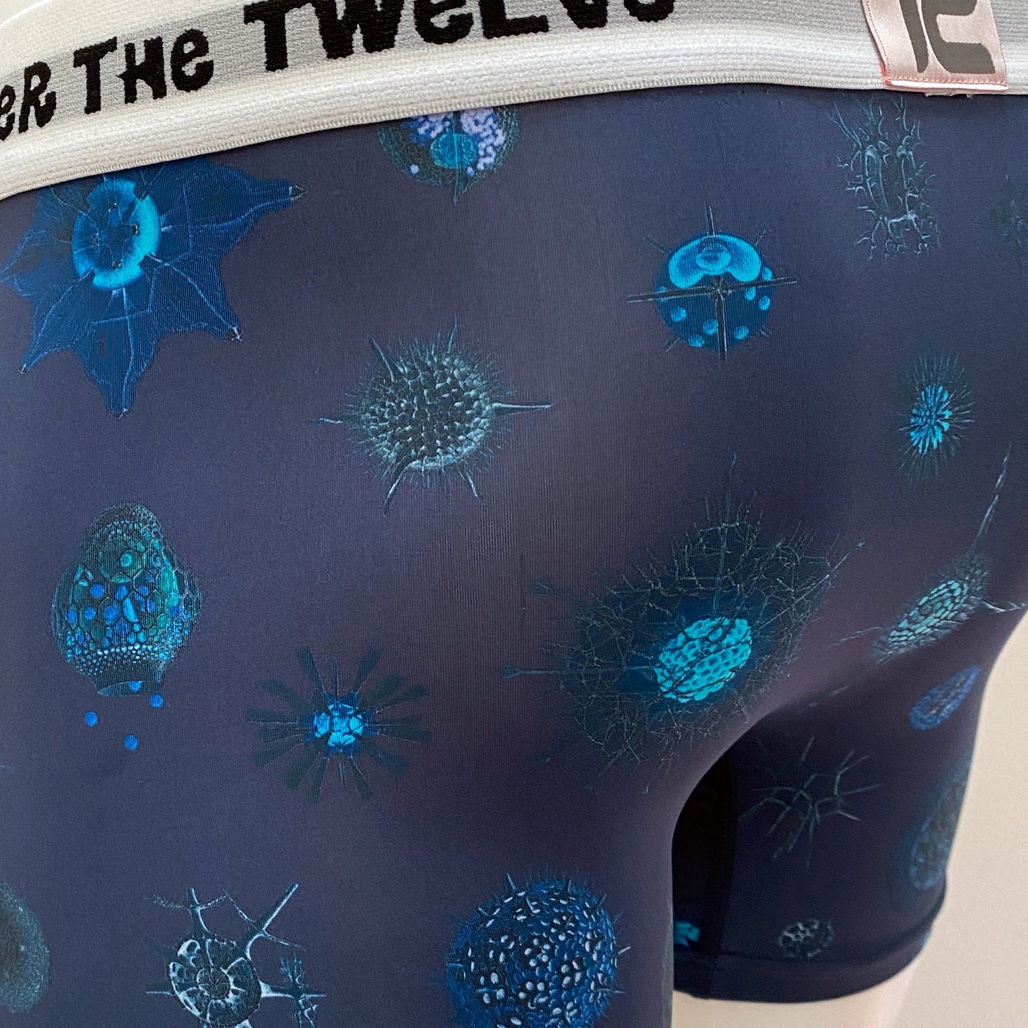 21-11  MICROPALEONTOLOGY COSMO Sublimation transfer print BOXER